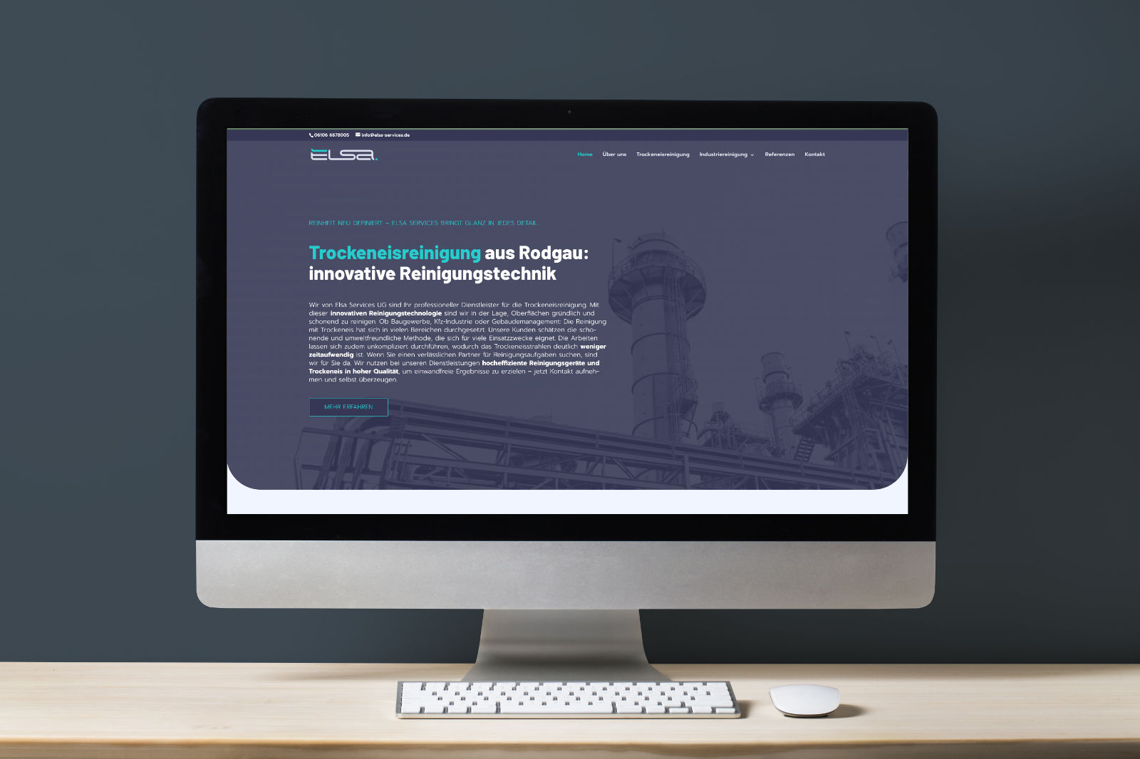 mockup-elsa-services